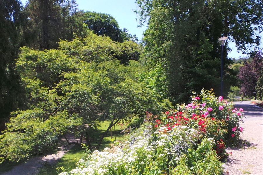 Parklandschaften in Bad Wildungen laden zum Spazierengehen ein. Parklandschaften in Bad Wildungen laden zum Spazierengehen ein.